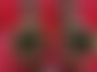 1927 & 1929 picked another pair of Chu Berry Conn Alto Saxophones