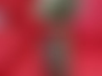 The Kohlert 57 Alto Saxophone - Repadded