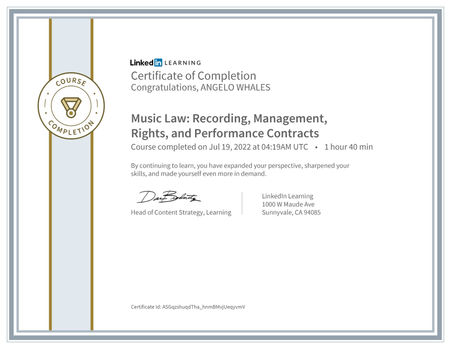 LinkedIn-Music Law.jpeg