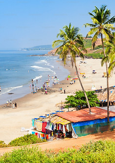 goa image.jpeg