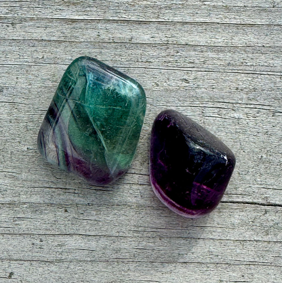 Miniatyrbild: Regnbågsflourit