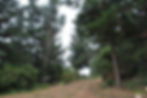 Caminos al interior del Condominio