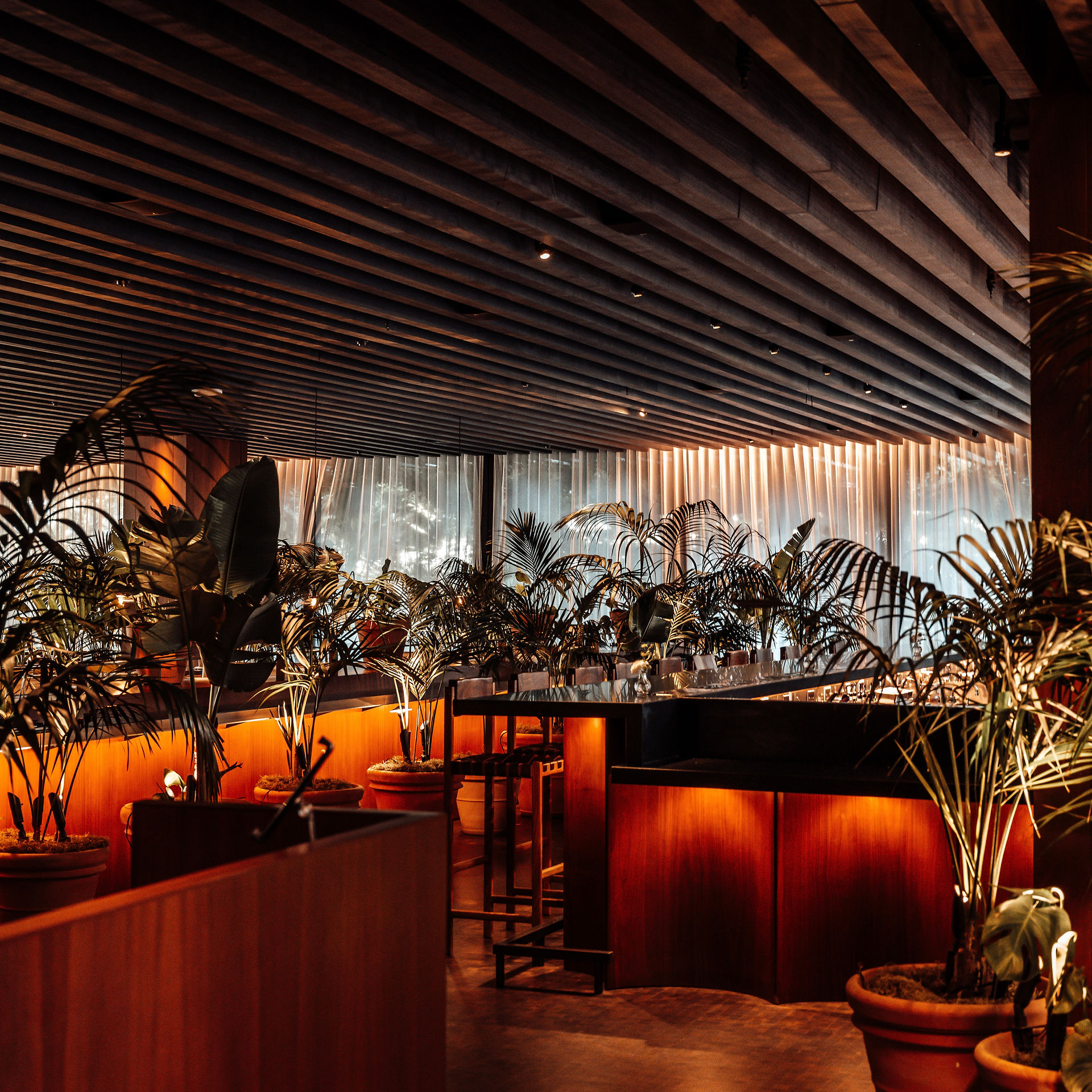 ARDOR at West Hollywood EDITION