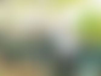 Missão de Comunicação na Amazônia, nas Amazônias