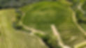 Revelette Bear Track Vineyard.JPG