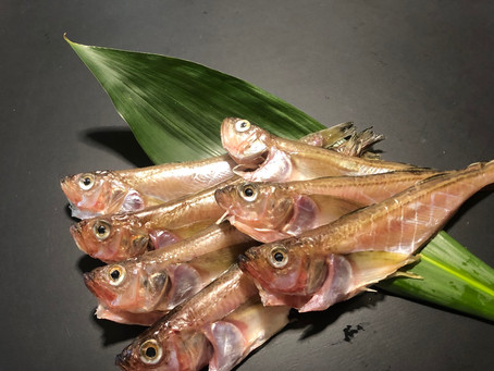 はたはた昆布塩一夜干しと、はたはた昆布〆