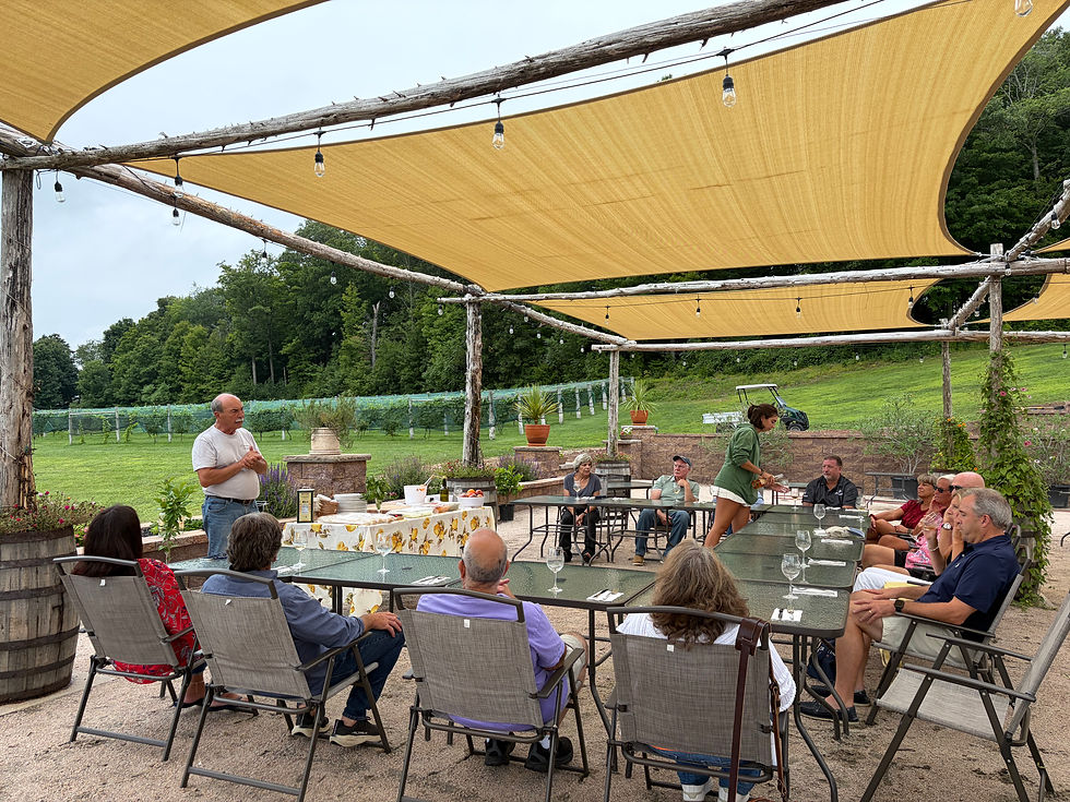 Tasting in the Vines