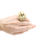 Thumbnail: Gold Bague Ozalee Ring
