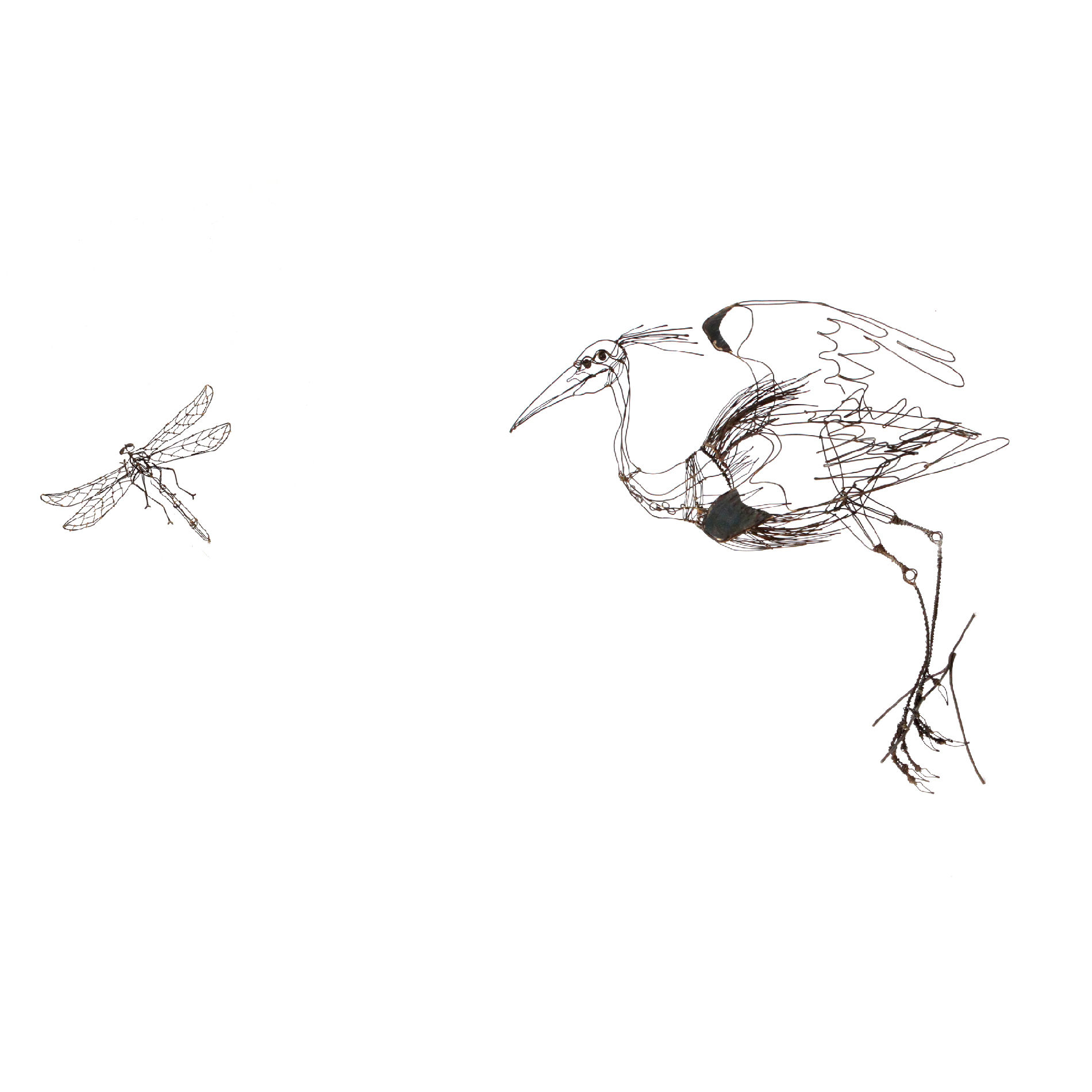 Heron and dragonfly