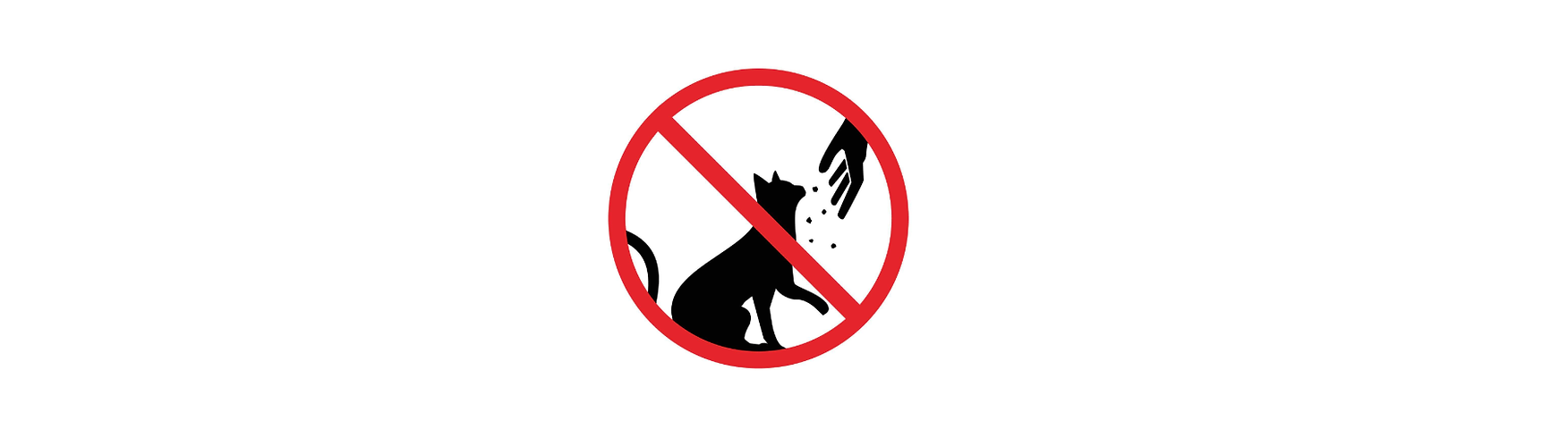NO ALIMENTAR A LOS GATOS.png