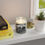 Thumbnail: Scented Candles, Coconut Apricot Wax (4oz, 9oz)