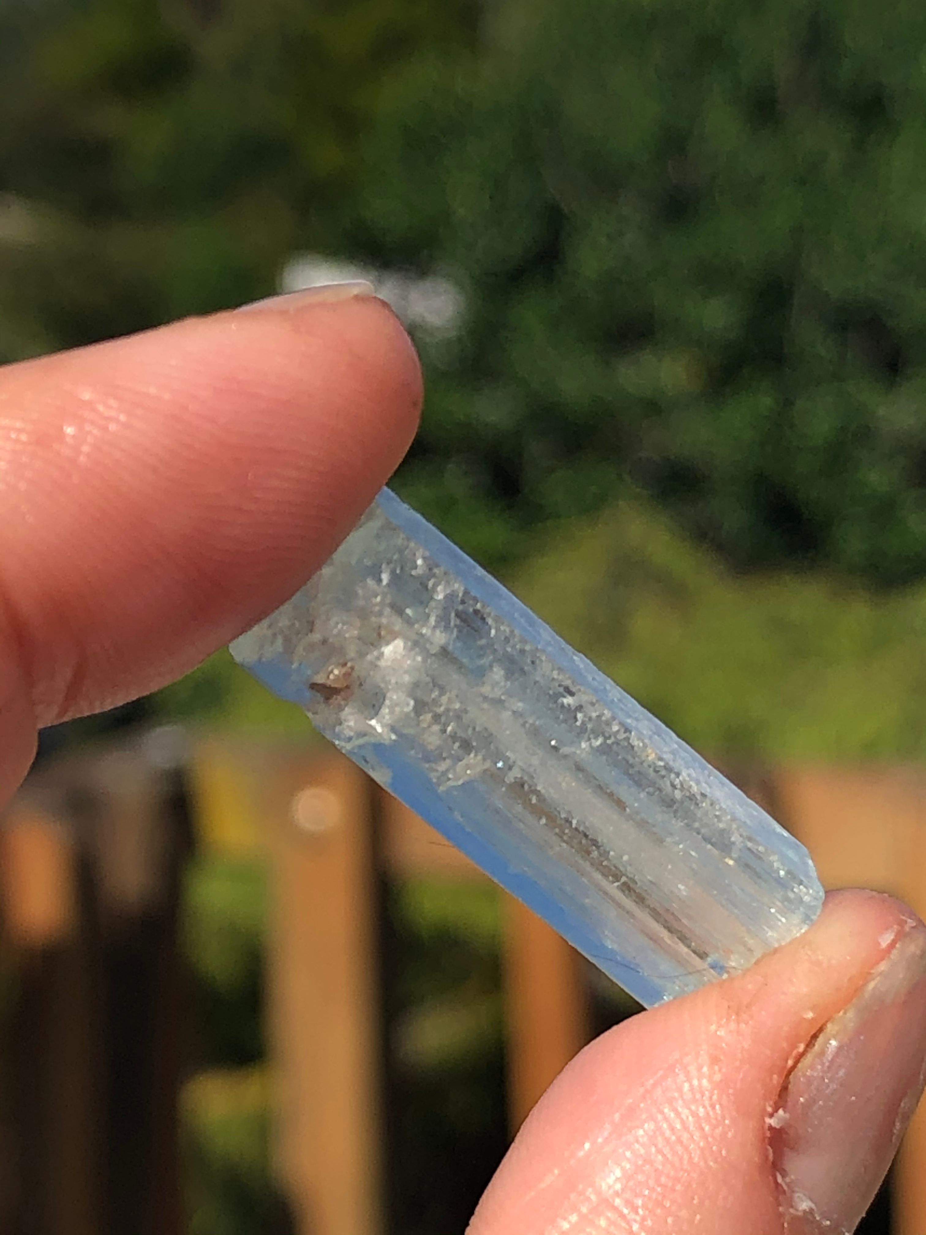 Natural Aquamarine Crystal | Collector Specimen