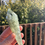 Thumbnail: Prehnite with Actinolite Qualtiy Wand with Hand Stand