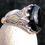 Thumbnail: Black Onyx Designer 925 Ring Size 12 Mens