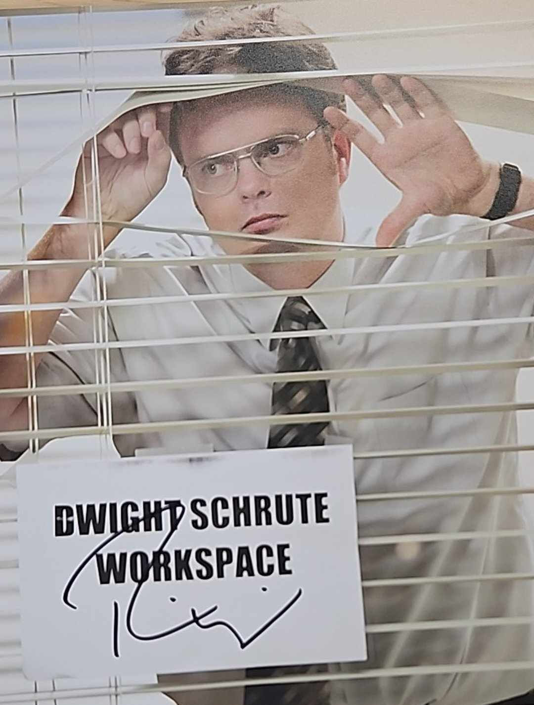 8x10" The Office (US) Dwights Workspace Fuji Print Signed by Rainn Wilson