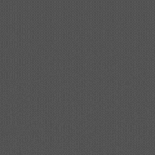 Minimal Delicate Flower Shop Logo (2).gif