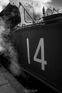 _MG_0120.jpg