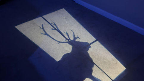 Motion-Triggered Christmas Projections: How to Create Magical, Interactive Holiday Decorations!