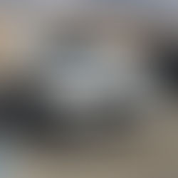 White BMW X5 after getting a 5-year ceramic coating parked outside our shop in Napa 