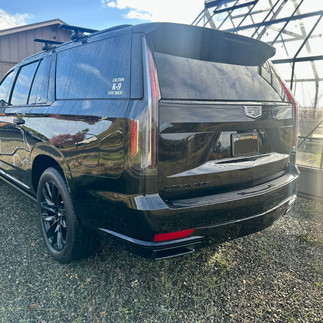 Sonoma Detailing and Coating Maintenance Wash 