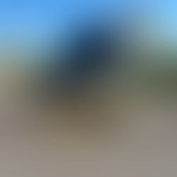 Reviving a Black 2017 Mercedes Sprinter: From Oxidation Removal to Trim Restoration