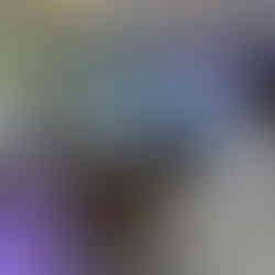 Lexus at pebble peach during Monterey Car Week Blue and inside club lexus