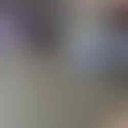 Lexus at pebble peach during Monterey Car Week Inside club lexus