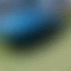 Ferrari at Casa Ferrari detailed at Pebble Beach by Robust Paint Protection & Auto Detailing Vintage blue