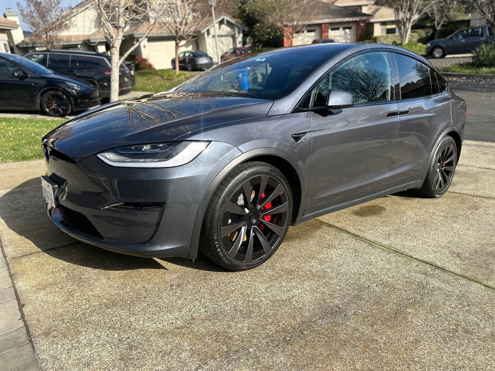 Shiny Tesla Model X Detailed