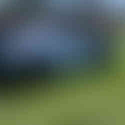 Ferrari at Casa Ferrari detailed at Pebble Beach by Robust Paint Protection & Auto Detailing Blue collector car