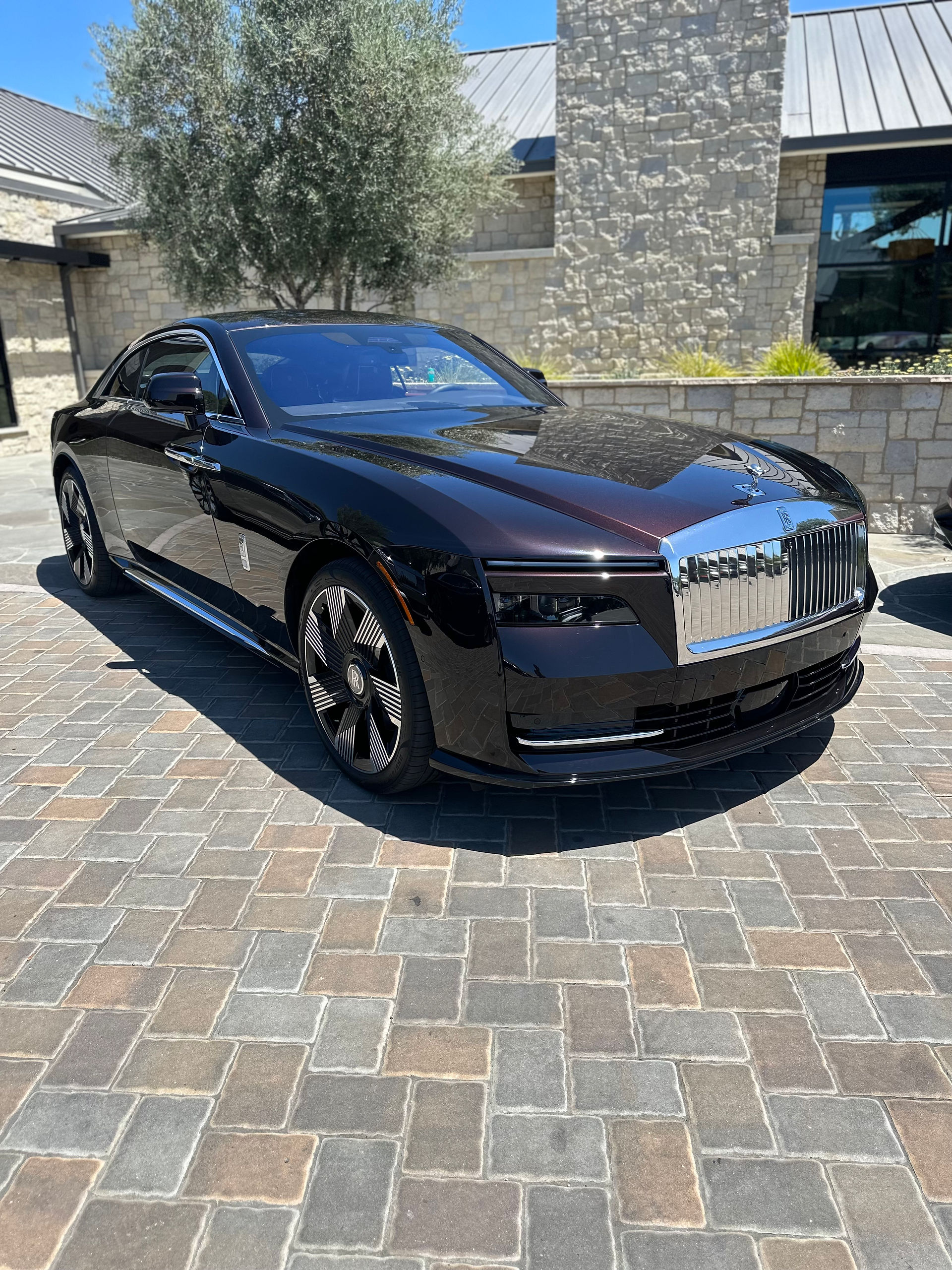 Rolls Royce Detailing Spectre EV Robust