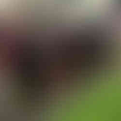 Toyota at flag football at superbowl fan experience detailed in San Francisco