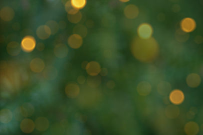 shutterstock_2503719663.jpg