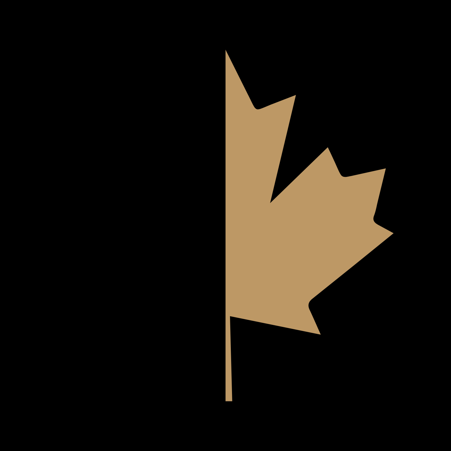 4C Icon (500 x 500 px) - black.png