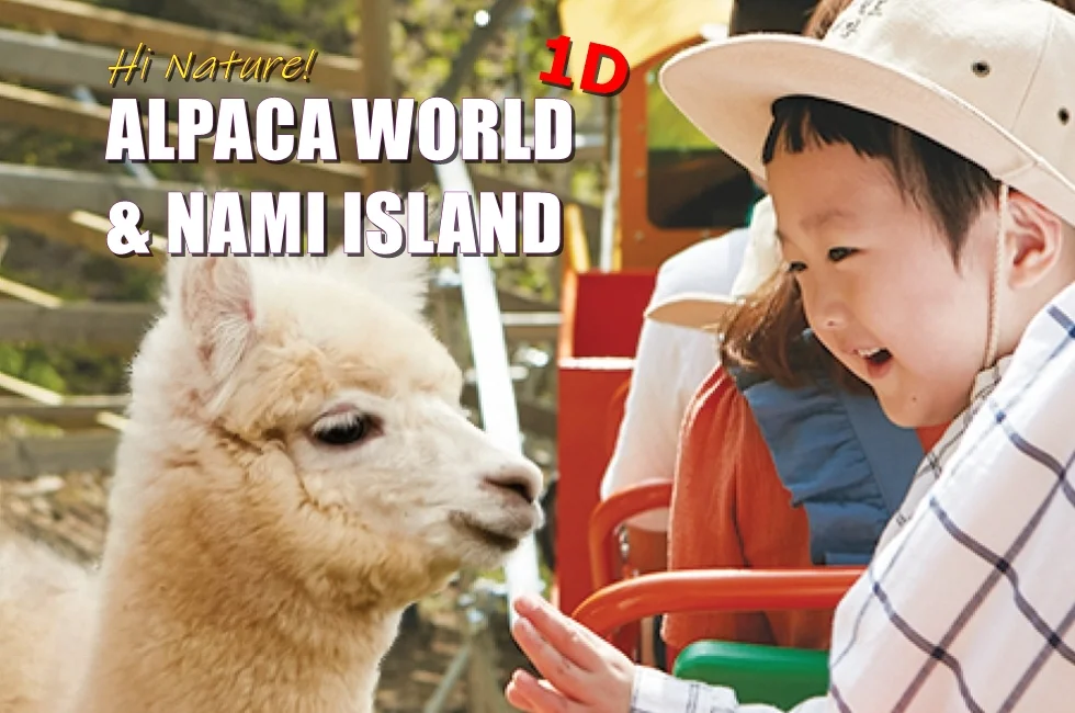 Alpaca World Nami Island Korea Best Korea Tour
