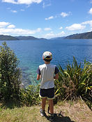 99296937_10160179555047925_6435293080353