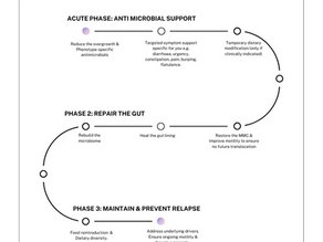 Three phase SIBO treatment roadmap showing antimicrobial therapy, gut repair and relapse prevention.