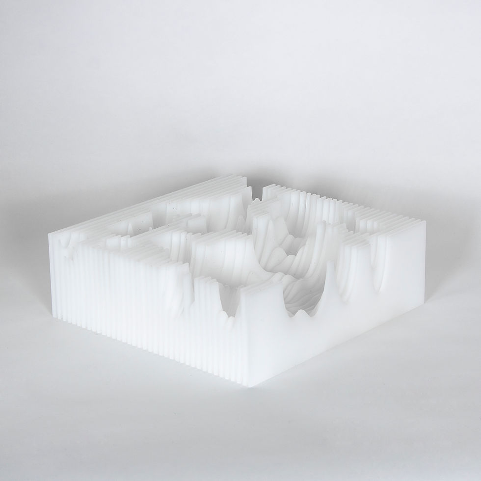 LE FRUIT DE LA MAQUETTE