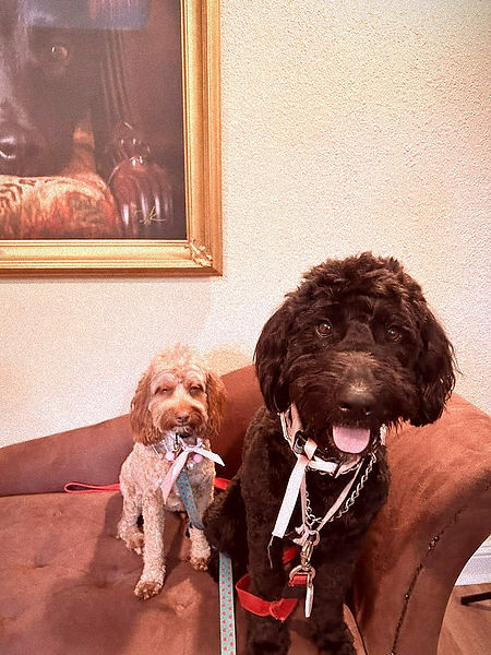 354563526_10228389606632780_110296630550