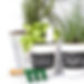Step3_herbs-opt_edited