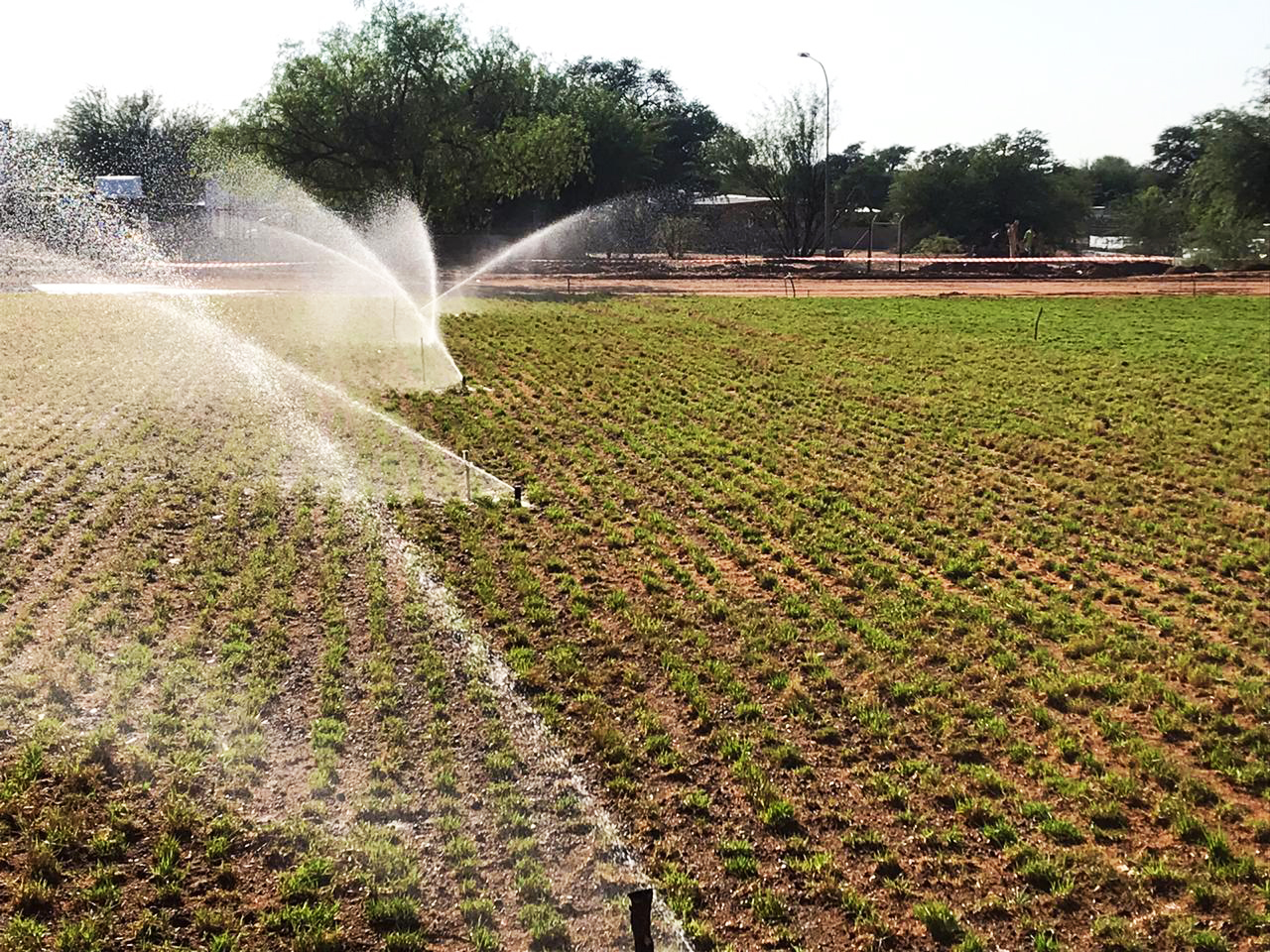 AgriTurf Namibia Irrigation Specialists