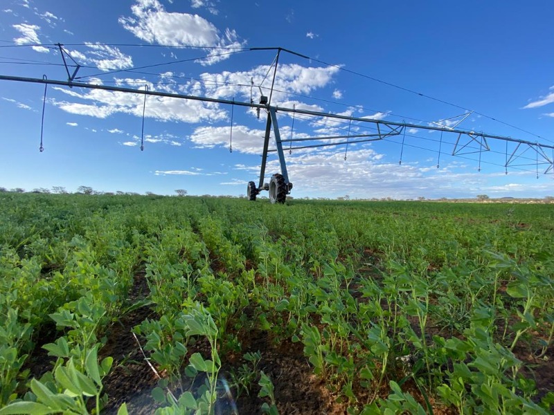 AgriTurf Namibia Irrigation Specialists