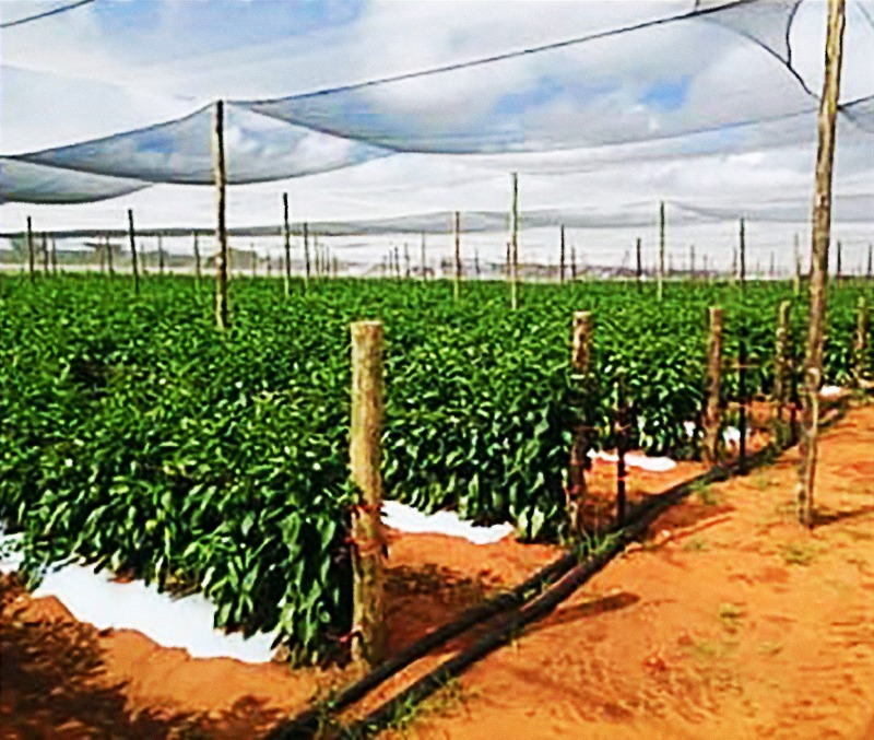 AgriTurf Namibia Irrigation Specialists