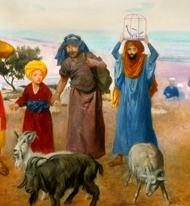 עולת ראייה