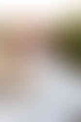 Γάμος Ιωάννινα / φωτογράφος Γάμου Ιωάννινα, Φωτογράφος Ιωάννινα