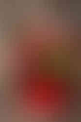 Ανθοδημιουργίες Θωμάς Μπατζιόλας,  Επαγγελματική Φωτογράφιση Ιωάννινα, Φωτογράφος Ιωάννινα,Αγίου Βαλ