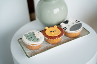 Φωτογράφιση Βάπτισης - Κοπάνη Ιωαννίνων