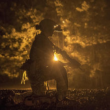 Operationalizing the Science of the Human Domain