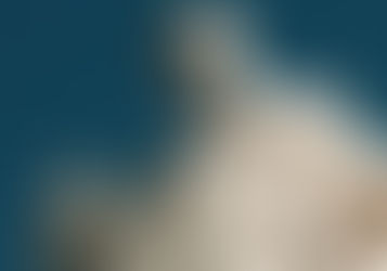 Platão: “A alma do homem é imortal e imperecível”