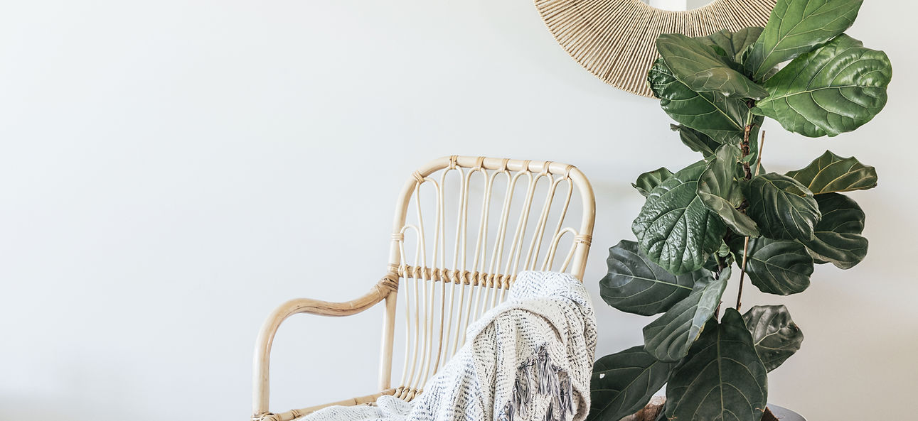 Reading chair.jpg